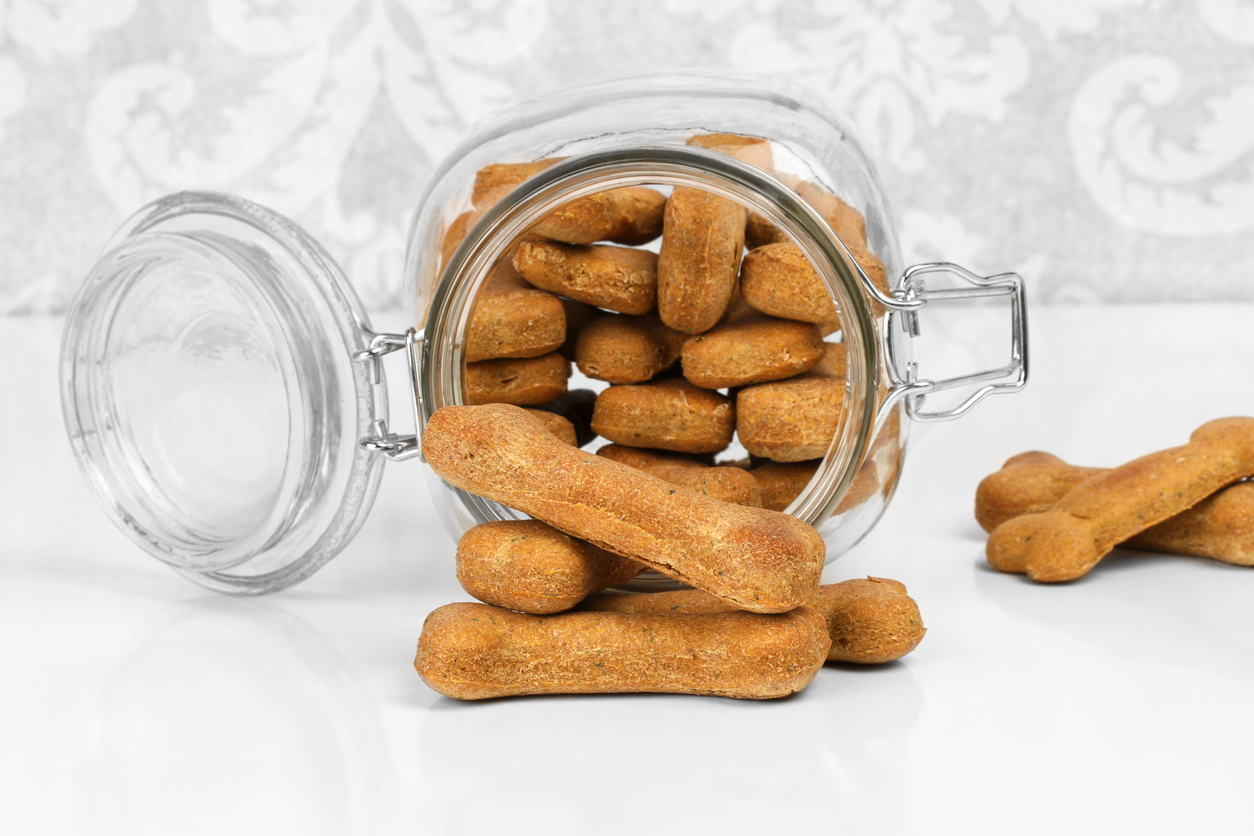  K9 Peanut Butter & Pumpkin Treats 
